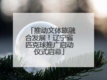 推动文体旅融合发展！辽宁省匹克球推广启动仪式启幕