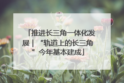 推进长三角一体化发展｜“轨道上的长三角”今年基本建成
