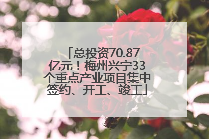 总投资70.87亿元！梅州兴宁33个重点产业项目集中签约、开工、竣工