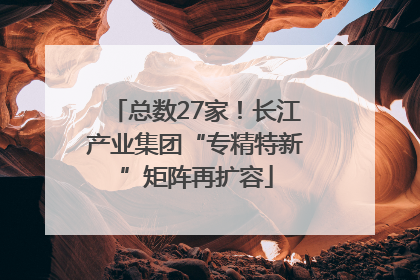 总数27家！长江产业集团“专精特新”矩阵再扩容