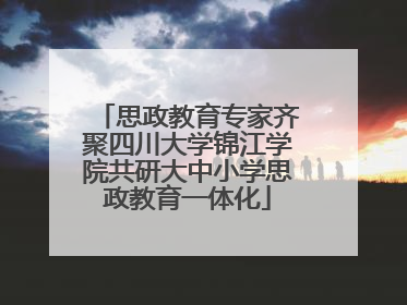 思政教育专家齐聚四川大学锦江学院共研大中小学思政教育一体化