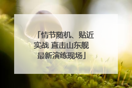 情节随机、贴近实战 直击山东舰最新演练现场