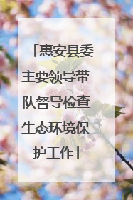 惠安县委主要领导带队督导检查生态环境保护工作