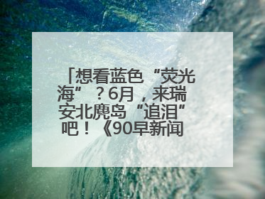 想看蓝色“荧光海”？6月，来瑞安北麂岛“追泪”吧！《90早新闻》来了