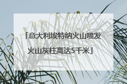 意大利埃特纳火山喷发 火山灰柱高达5千米