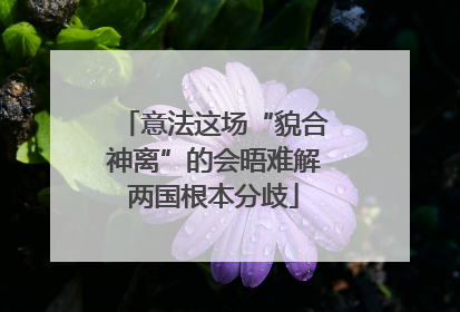 意法这场“貌合神离”的会晤难解两国根本分歧