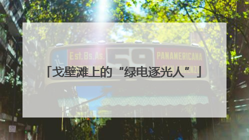 戈壁滩上的“绿电逐光人”