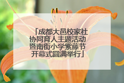 成都大邑校家社协同育人主题活动暨南街小学紫藤节开幕式圆满举行