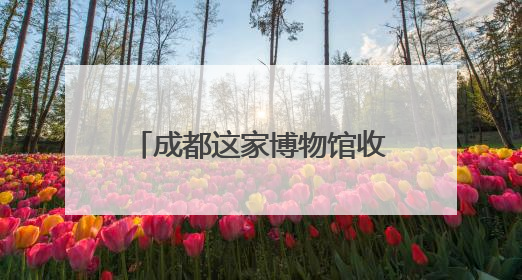 成都这家博物馆收藏数百把吉他：让音乐听得见，看得见