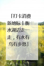 打卡消费新地标丨衡水湖边走一走，有水有鸟有乡愁