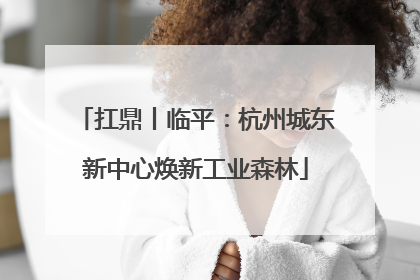 扛鼎丨临平：杭州城东新中心焕新工业森林
