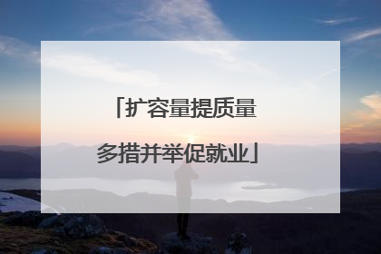 扩容量提质量 多措并举促就业