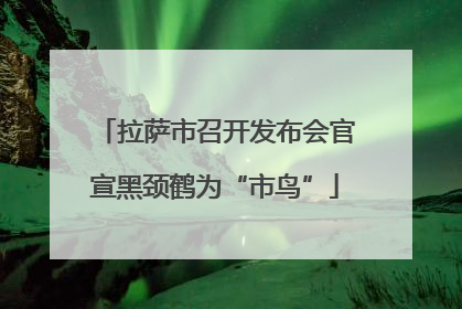 拉萨市召开发布会官宣黑颈鹤为“市鸟”
