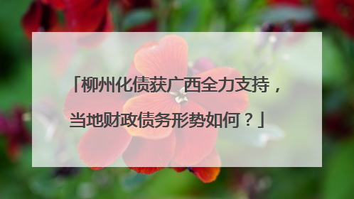 柳州化债获广西全力支持，当地财政债务形势如何？