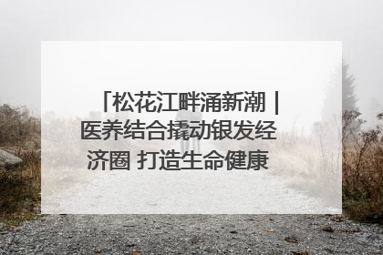 松花江畔涌新潮｜医养结合撬动银发经济圈 打造生命健康产业新样本