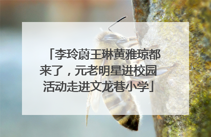 李玲蔚王琳黄雅琼都来了，元老明星进校园活动走进文龙巷小学