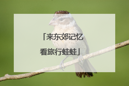 来东郊记忆 看旅行蛙蛙