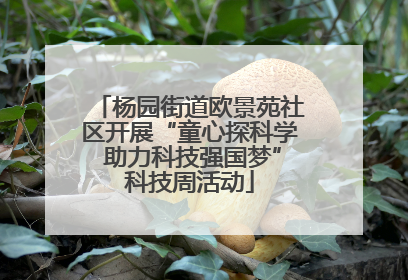 杨园街道欧景苑社区开展“童心探科学 助力科技强国梦”科技周活动