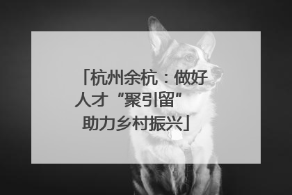 杭州余杭：做好人才“聚引留” 助力乡村振兴
