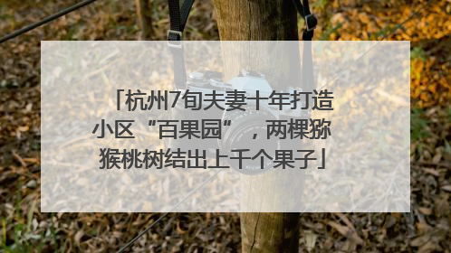 杭州7旬夫妻十年打造小区“百果园”，两棵猕猴桃树结出上千个果子