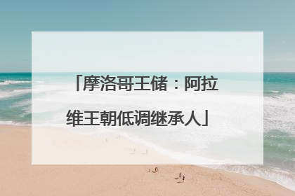 摩洛哥王储：阿拉维王朝低调继承人