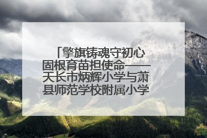 擎旗铸魂守初心 固根育苗担使命——天长市炳辉小学与萧县师范学校附属小学结对共建活动纪实