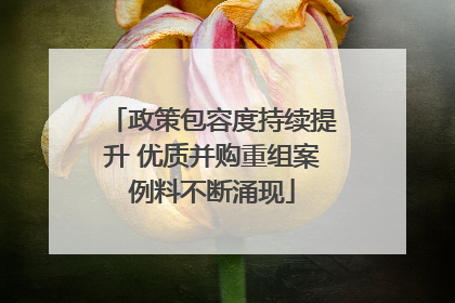 政策包容度持续提升 优质并购重组案例料不断涌现