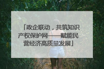 政企联动，共筑知识产权保护网——赋能民营经济高质量发展