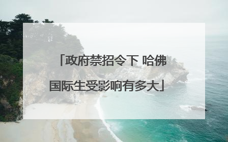 政府禁招令下 哈佛国际生受影响有多大