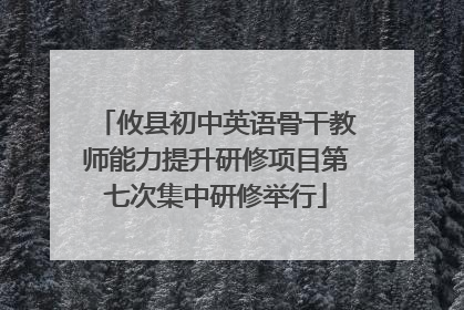 攸县初中英语骨干教师能力提升研修项目第七次集中研修举行