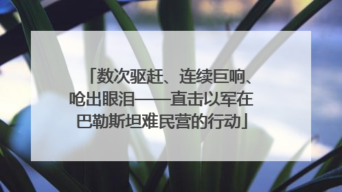 数次驱赶、连续巨响、呛出眼泪——直击以军在巴勒斯坦难民营的行动