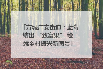 方城广安街道：蓝莓结出 “致富果” 绘就乡村振兴新图景