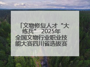文物修复人才“大练兵” 2025年全国文物行业职业技能大赛四川省选拔赛即将启幕