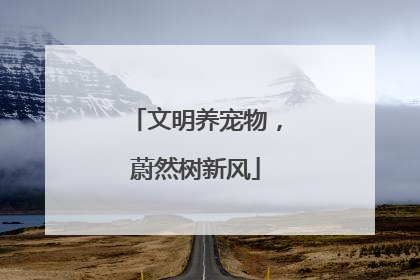 文明养宠物,蔚然树新风