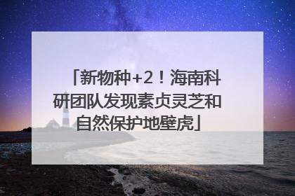 新物种+2！海南科研团队发现素贞灵芝和自然保护地壁虎