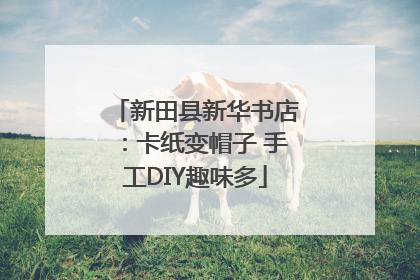 新田县新华书店：卡纸变帽子 手工DIY趣味多