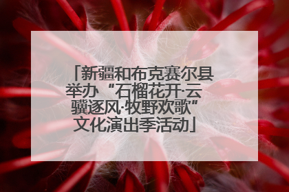 新疆和布克赛尔县举办“石榴花开·云骥逐风·牧野欢歌”文化演出季活动