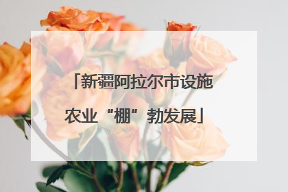 新疆阿拉尔市设施农业“棚”勃发展