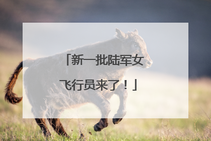 新一批陆军女飞行员来了！