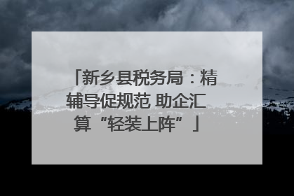 新乡县税务局：精辅导促规范 助企汇算“轻装上阵”