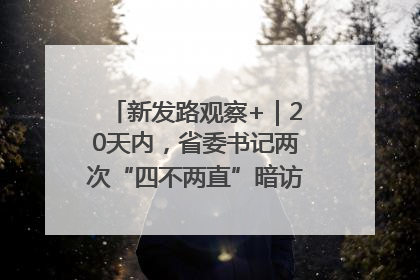 新发路观察+｜20天内，省委书记两次“四不两直”暗访，有何深意？