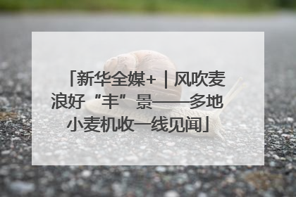 新华全媒+｜风吹麦浪好“丰”景——多地小麦机收一线见闻