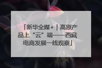 新华全媒+｜高原产品上“云”端——西藏电商发展一线观察