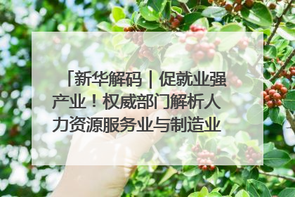 新华解码｜促就业强产业！权威部门解析人力资源服务业与制造业融合发展试点
