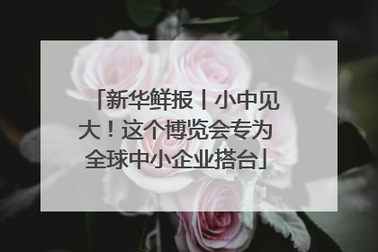 新华鲜报丨小中见大！这个博览会专为全球中小企业搭台