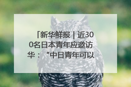 新华鲜报｜近300名日本青年应邀访华：“中日青年可以创造更好的未来”