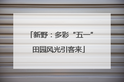 新野：多彩“五一” 田园风光引客来