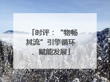 时评：“物畅其流”引擎循环、赋能发展