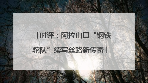 时评：阿拉山口“钢铁驼队”续写丝路新传奇