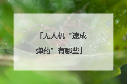 无人机“速成弹药”有哪些